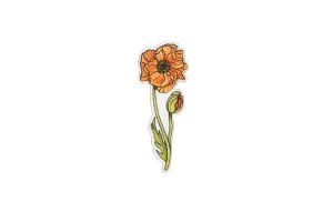 Fa bross Icelandic Poppy Brooch