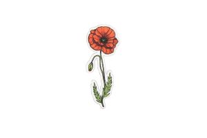 Fa bross Poppy Brooch